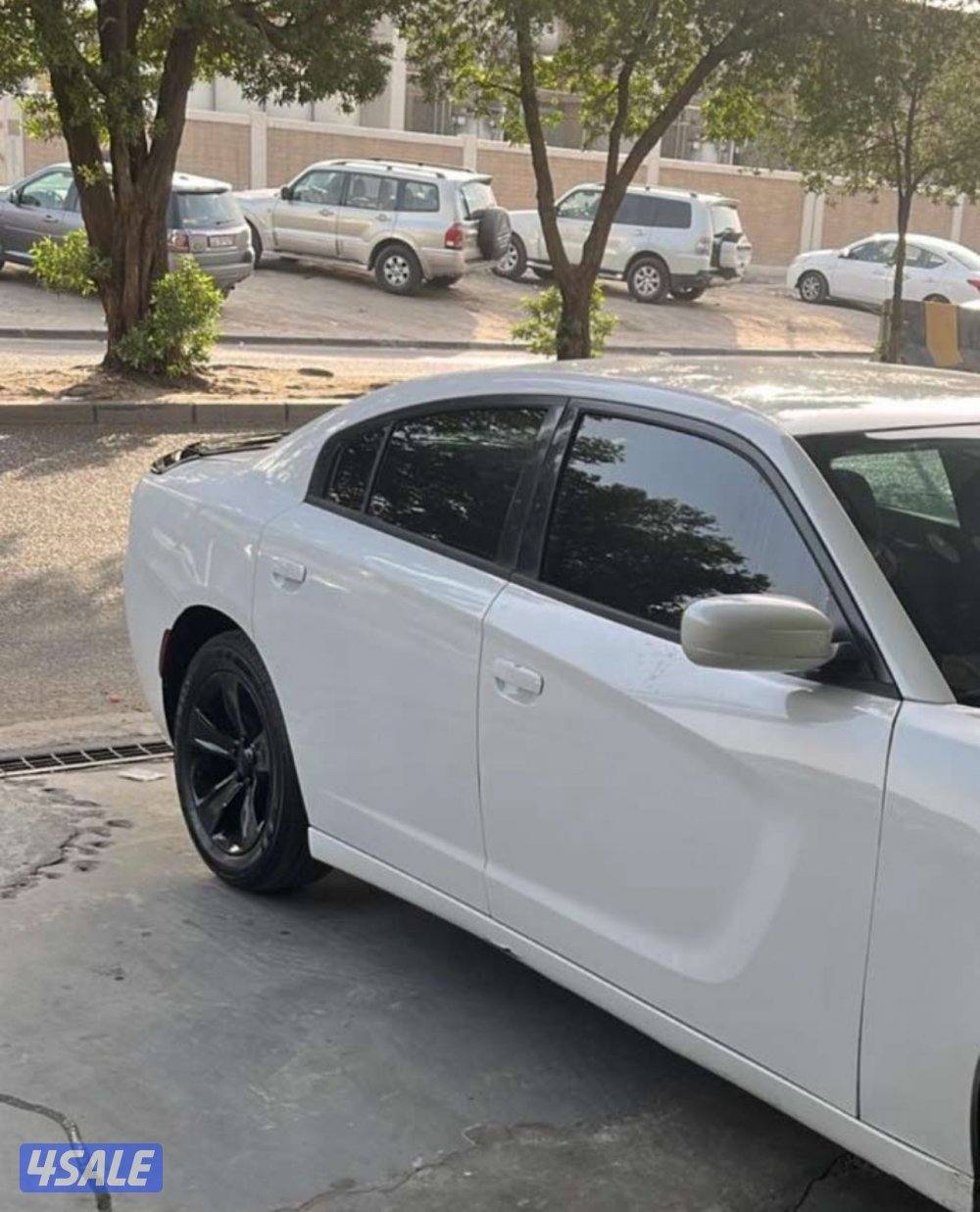 البيع دوج 20161