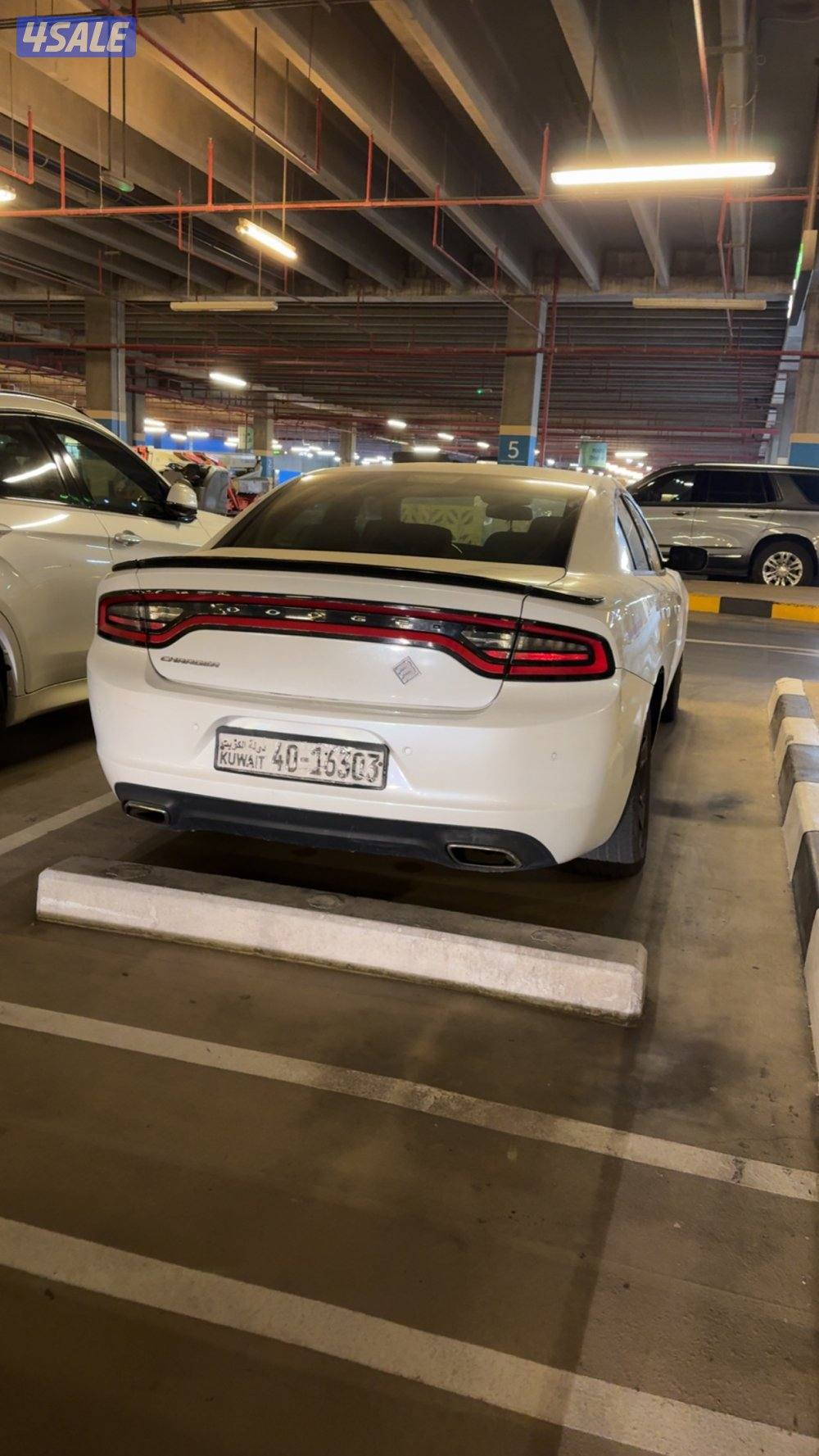 البيع دوج 20164