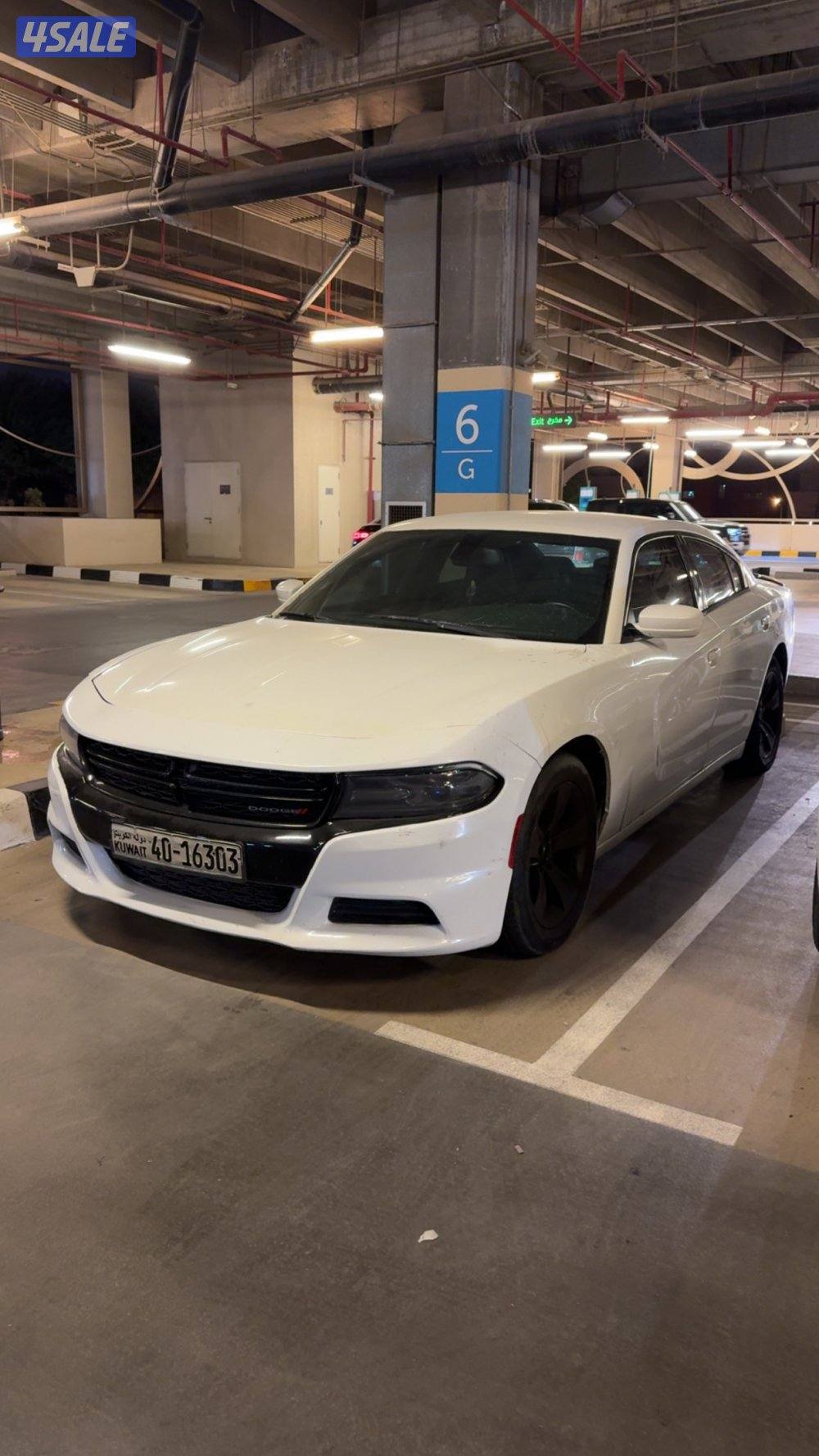 البيع دوج 20160