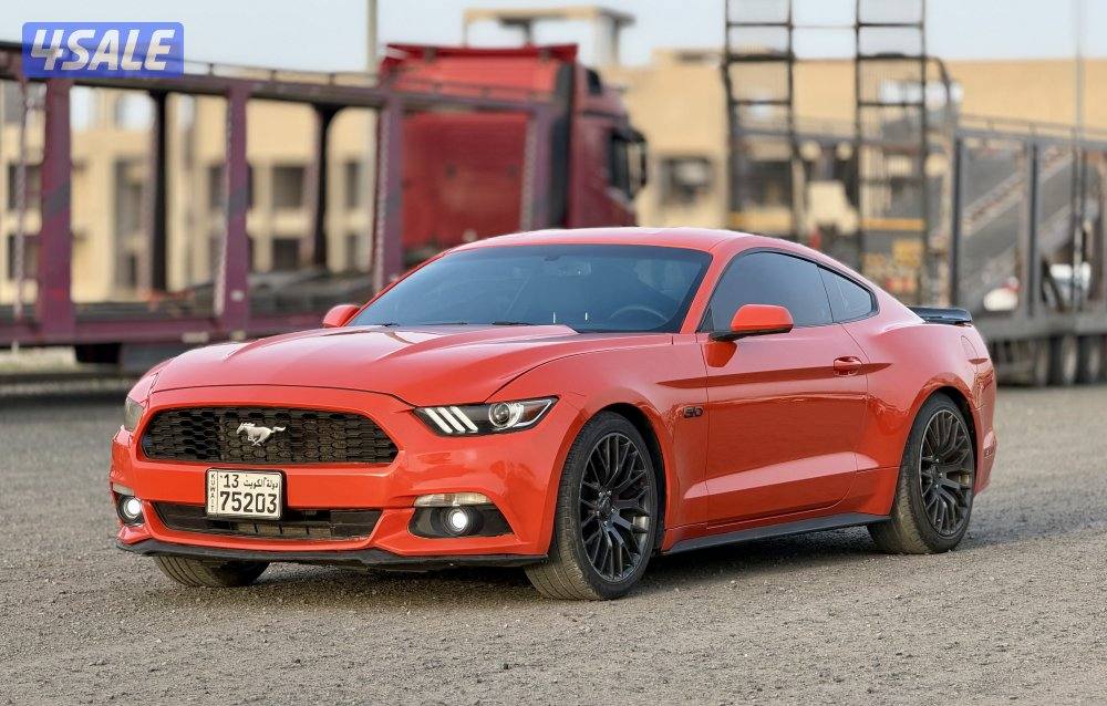 موستنق ٢٠١٥1