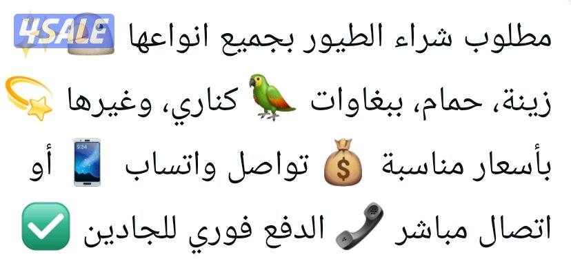 مطلوب جميع انواع الطيور0