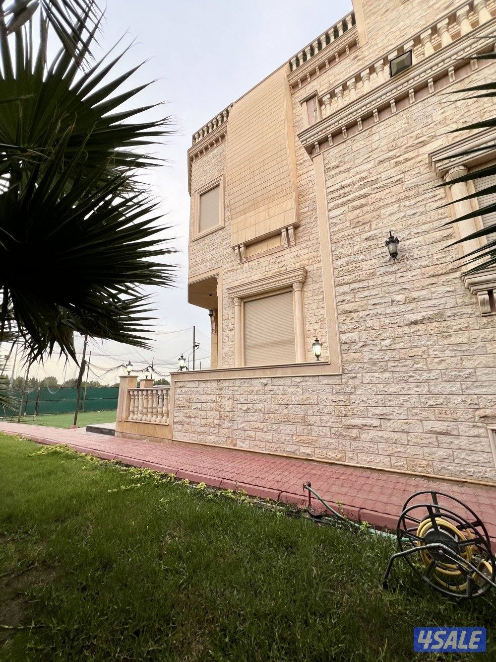 للبيع موقع شيخ بسعد قطعه 11 رواق منطقه 👌5