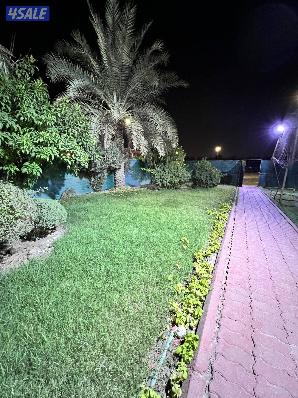 للبيع موقع شيخ بسعد قطعه 11 رواق منطقه 👌9