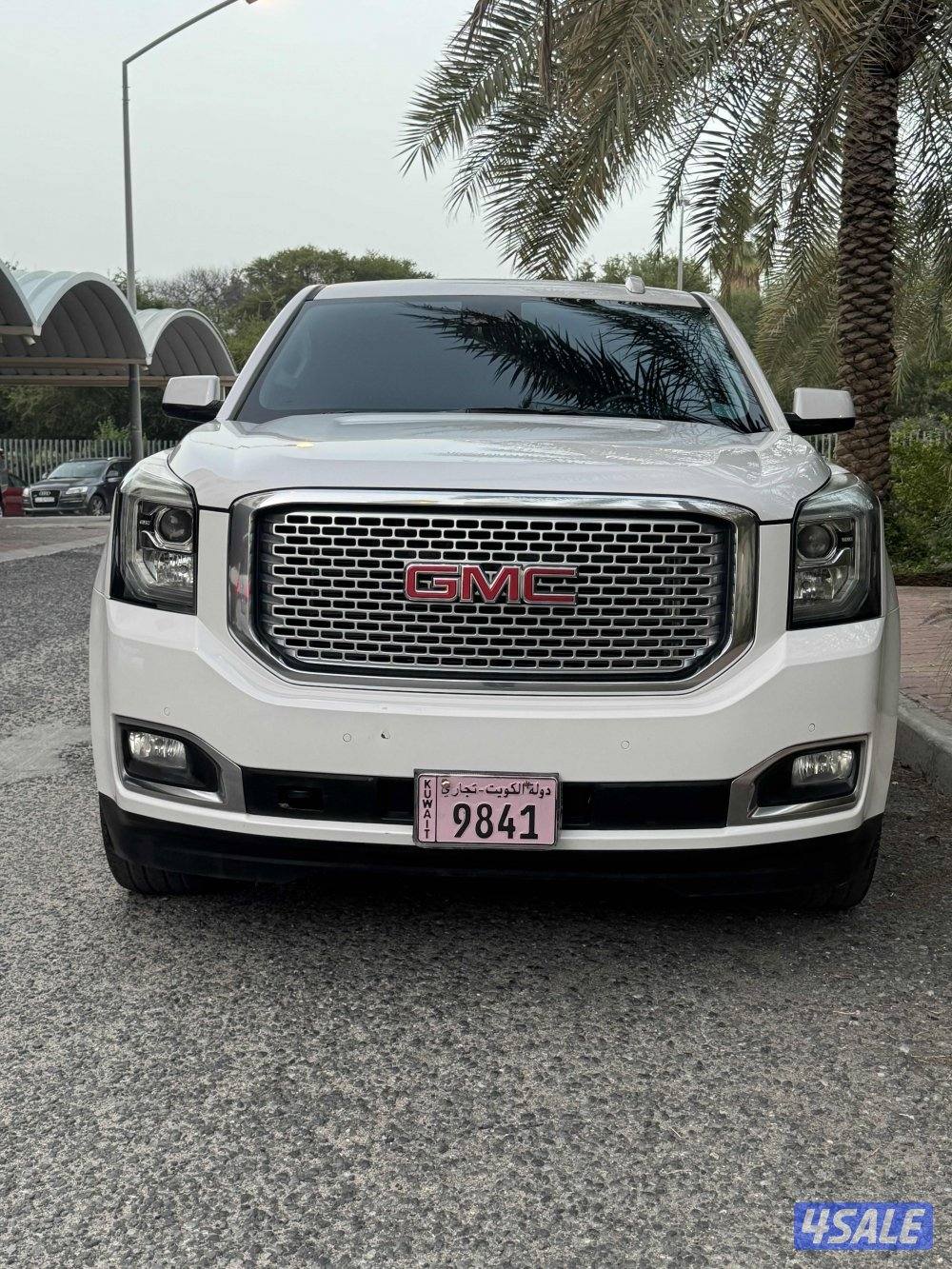 يوكن دنالي1