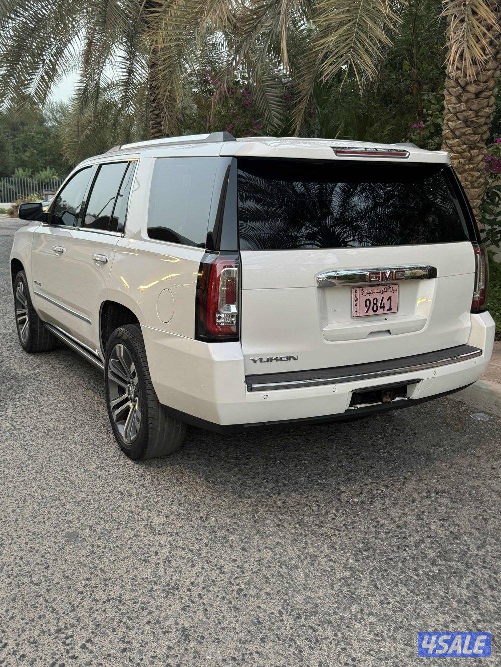 يوكن دنالي6