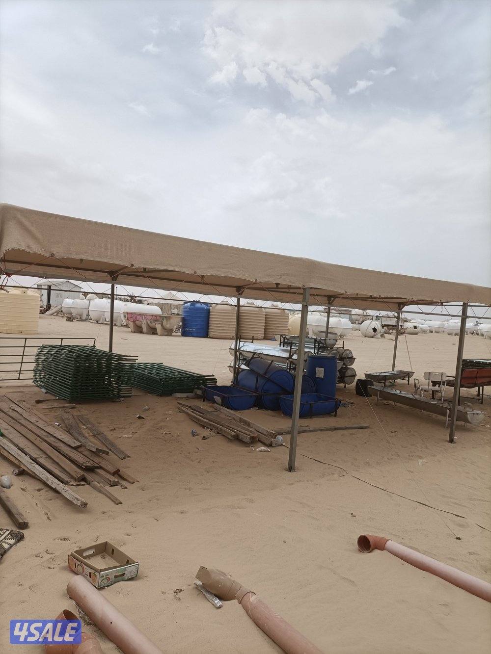 Tanki sacred bhaiya4