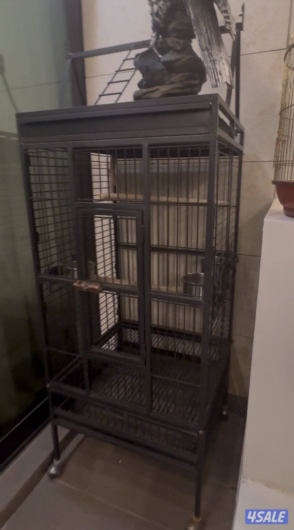 قفص حق مكاو و كاسكو0