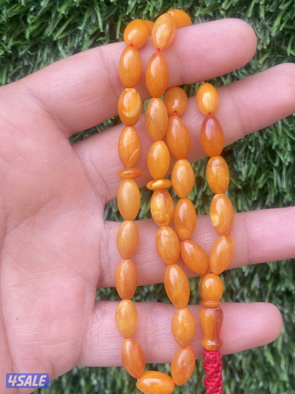 كهرب بولندي0