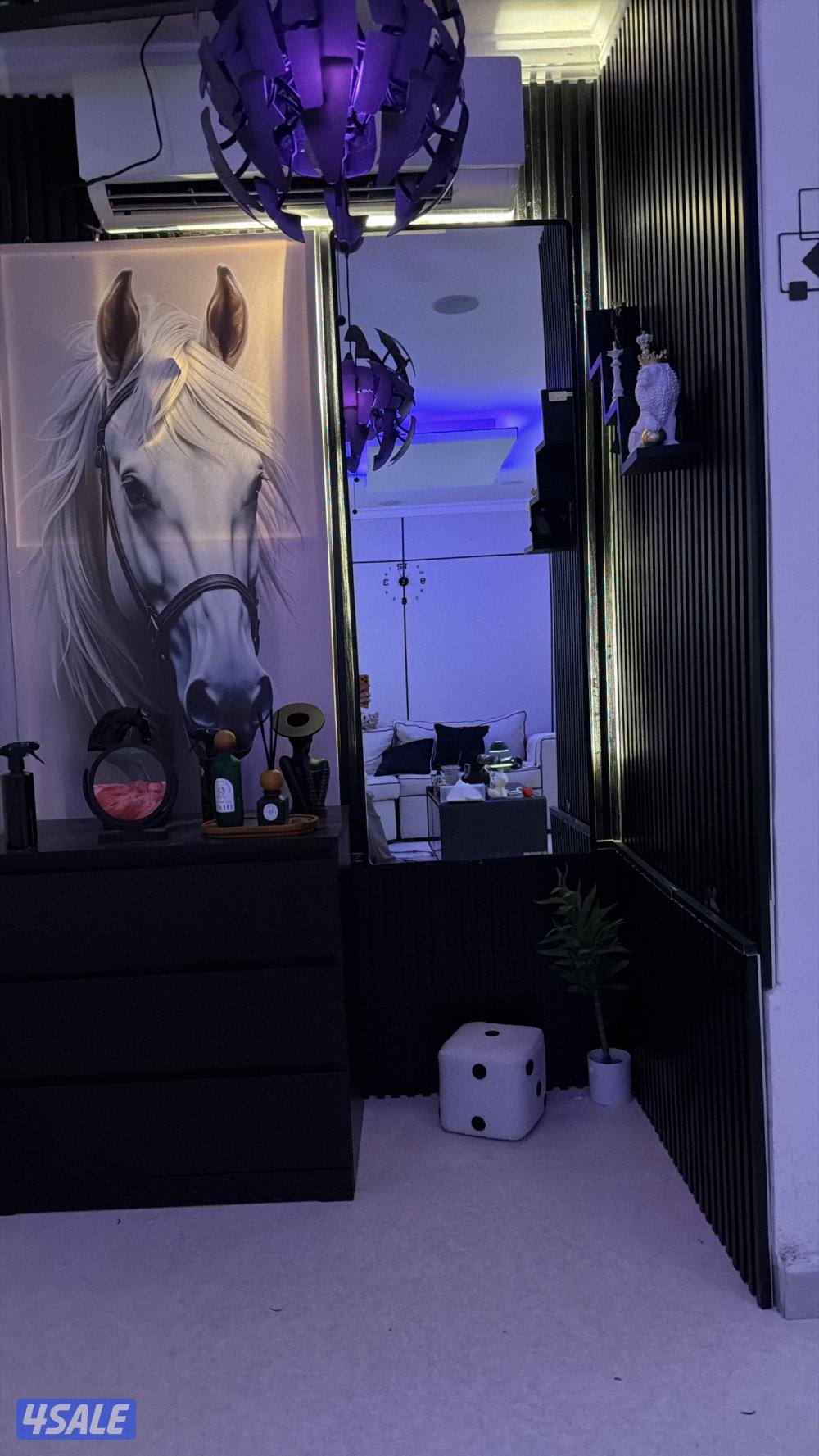 بو حليفه 🎈3