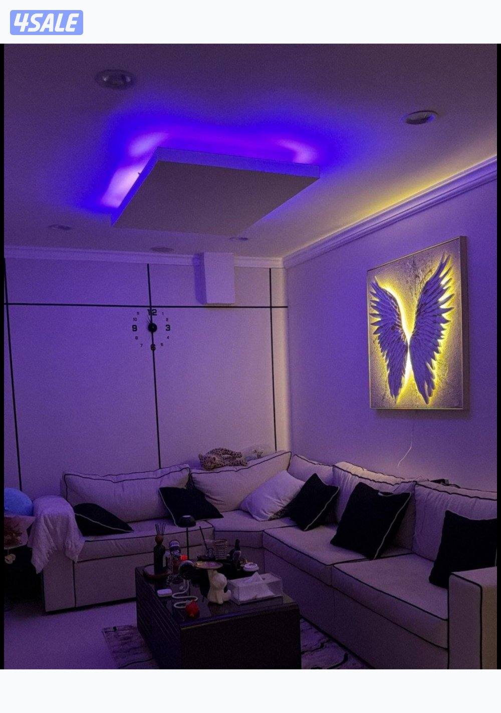 بو حليفه 🎈0