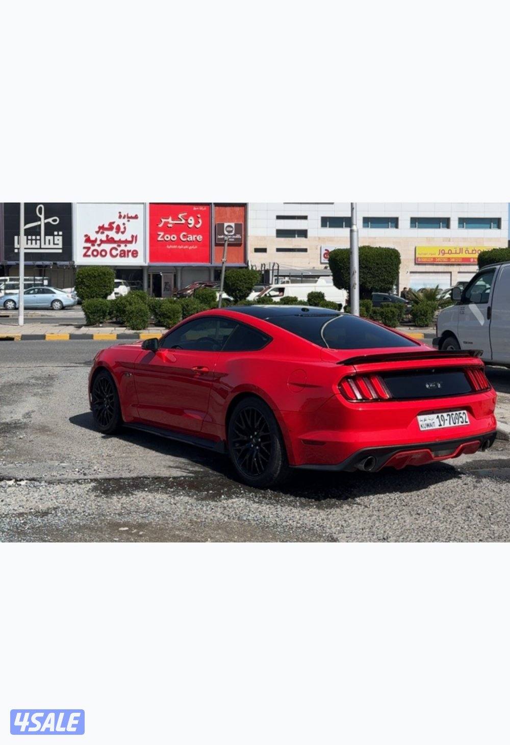 موستنق قير عادي2