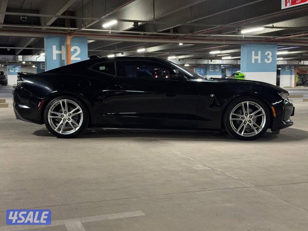 الشرق الصوابر5