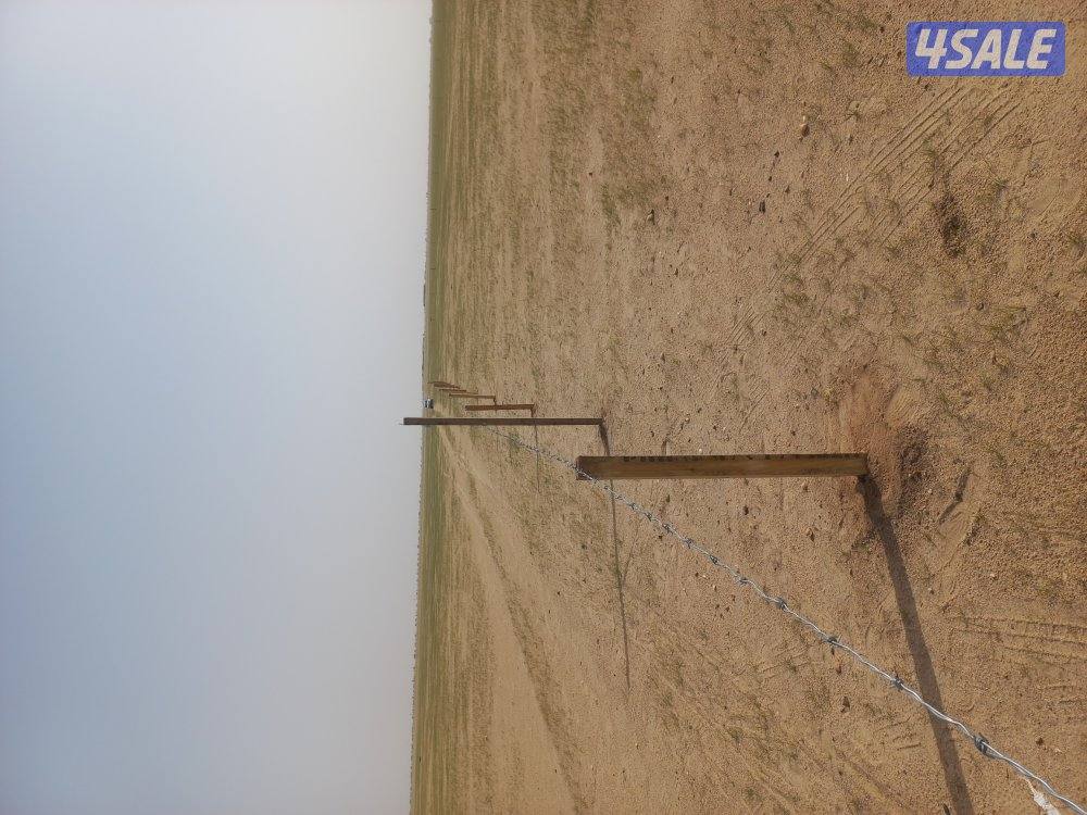 حفر ركايز حفر شتل شجر2