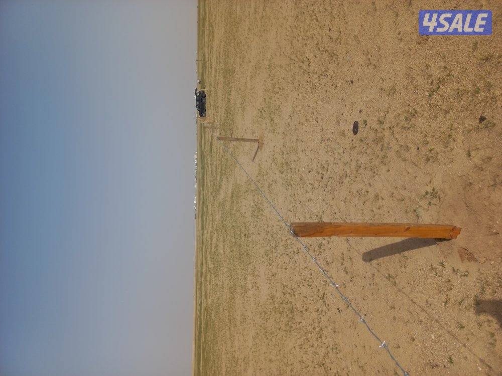 حفر ركايز حفر شتل شجر3