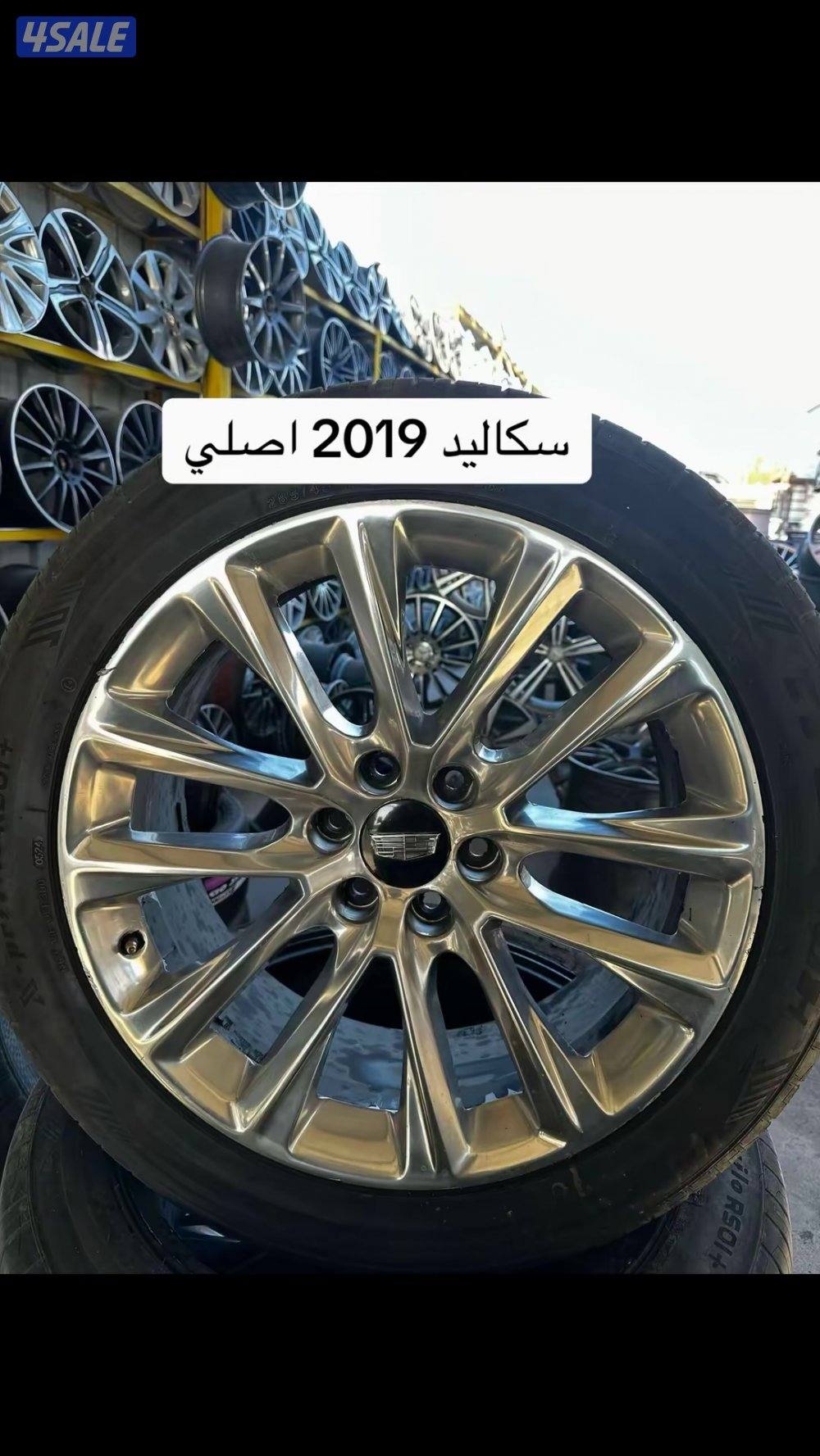 لدينا مجموعة رائعة من الرنقات الاصلية(افتر ماركت تجاري)15