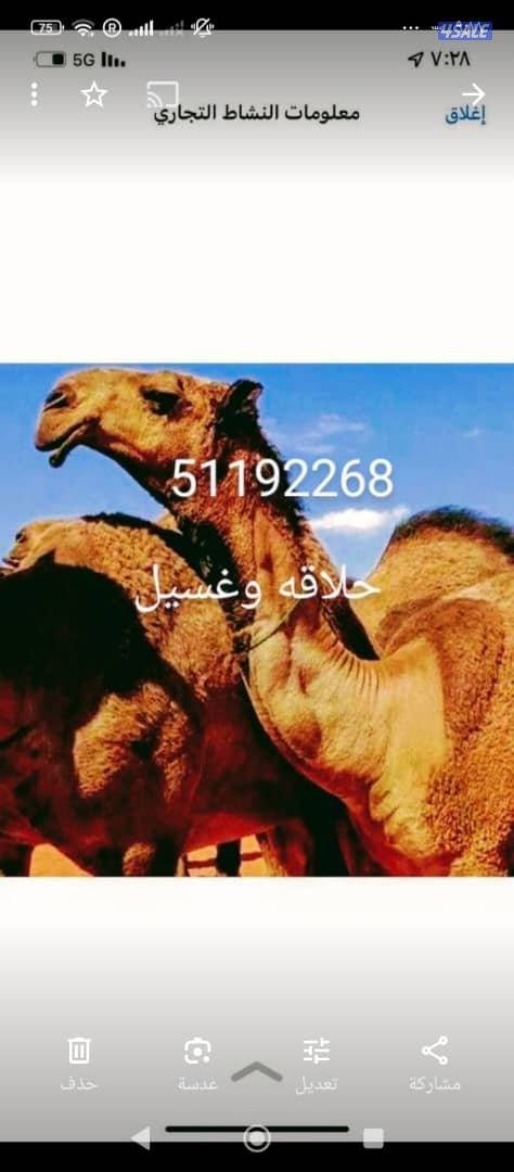 حلاق ابل وغسيل جميع مناطق الكويا0