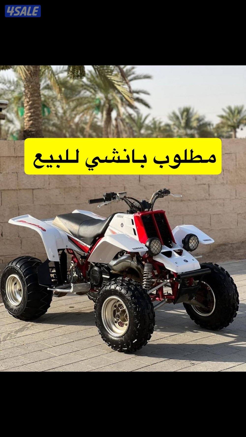 مطلوب بانشي0