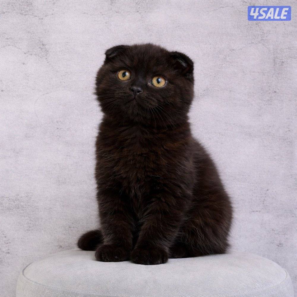 للبيع جاهزه للتسليم4