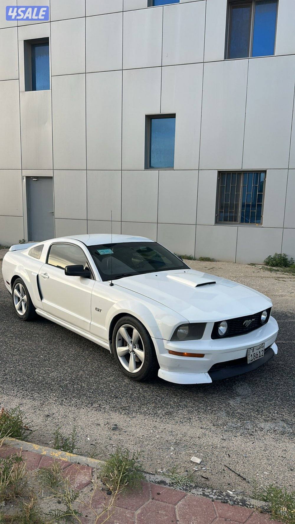 للبيع موستنق قير عادي0