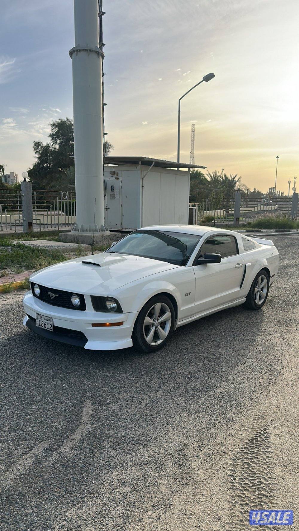 للبيع موستنق قير عادي1