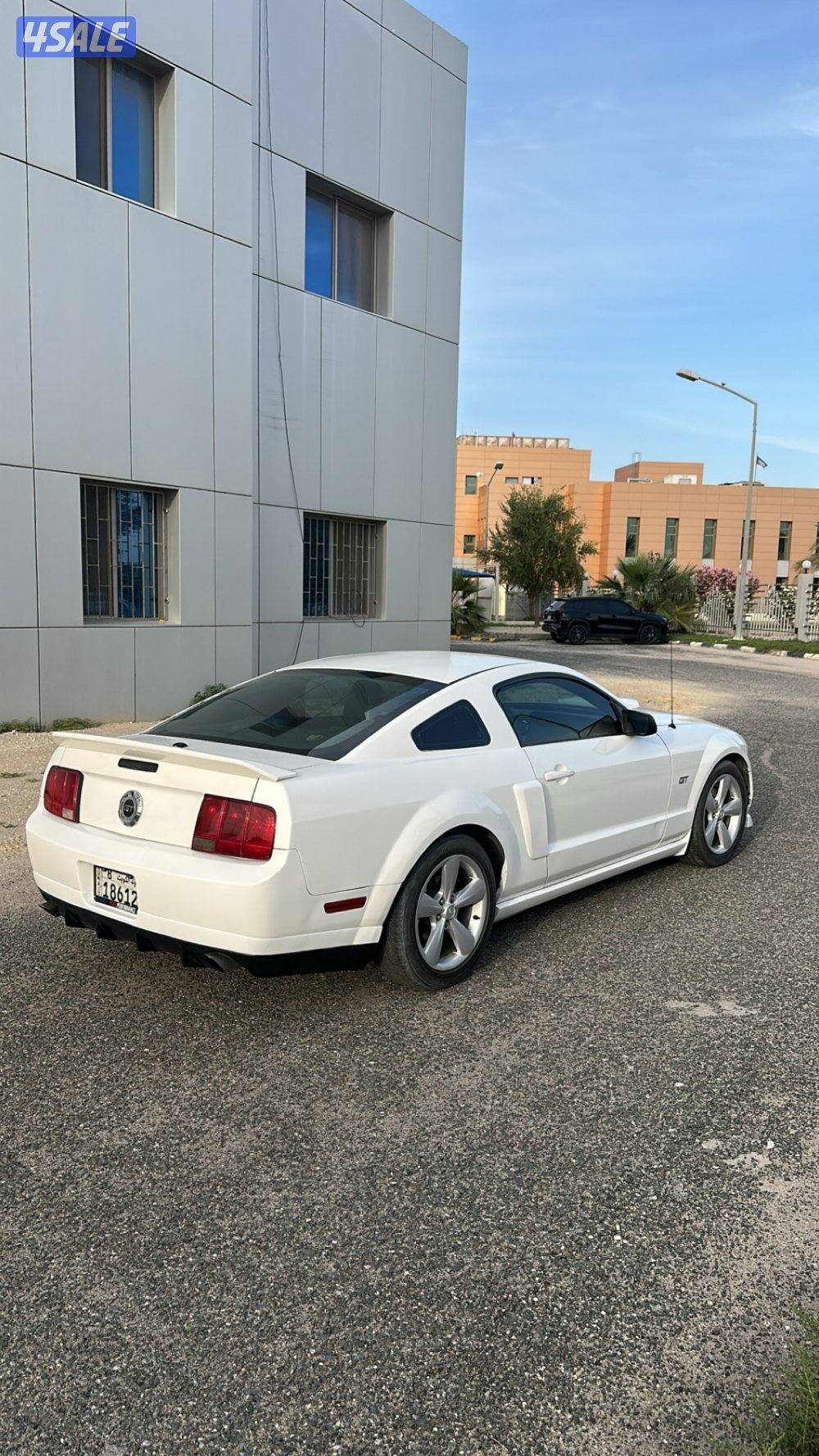 للبيع موستنق قير عادي2