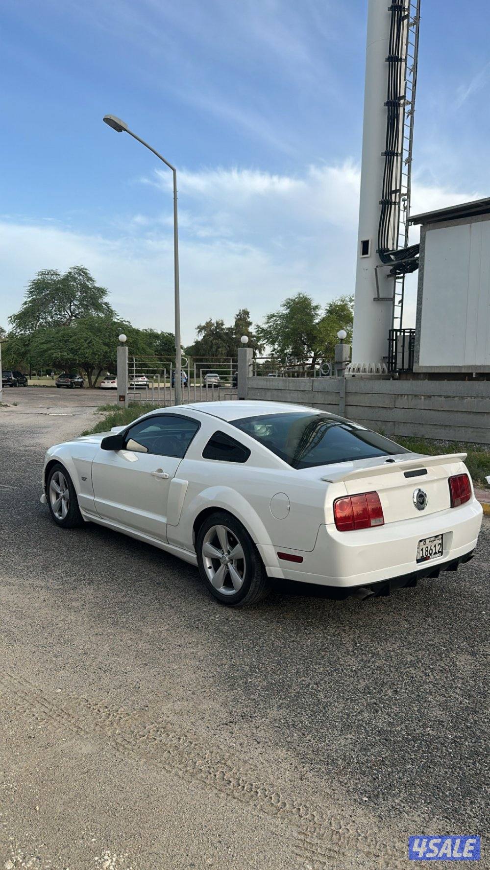 للبيع موستنق قير عادي3