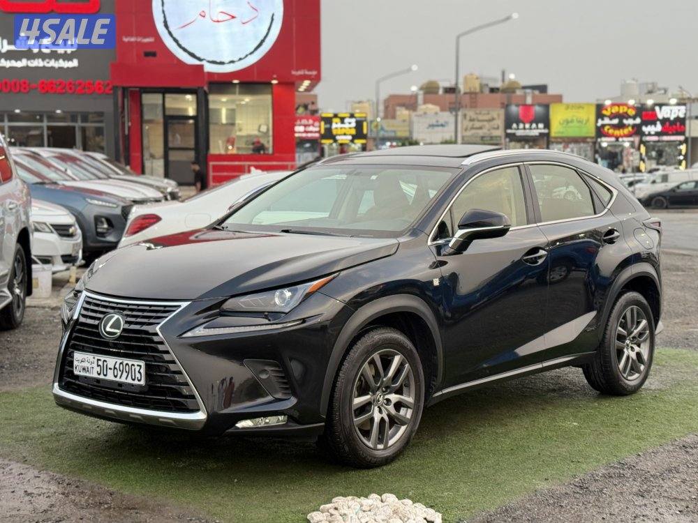 لكزس NX300 - موديل 2019 - عداد 238 - وارد الساير - صبغ الوكاله0