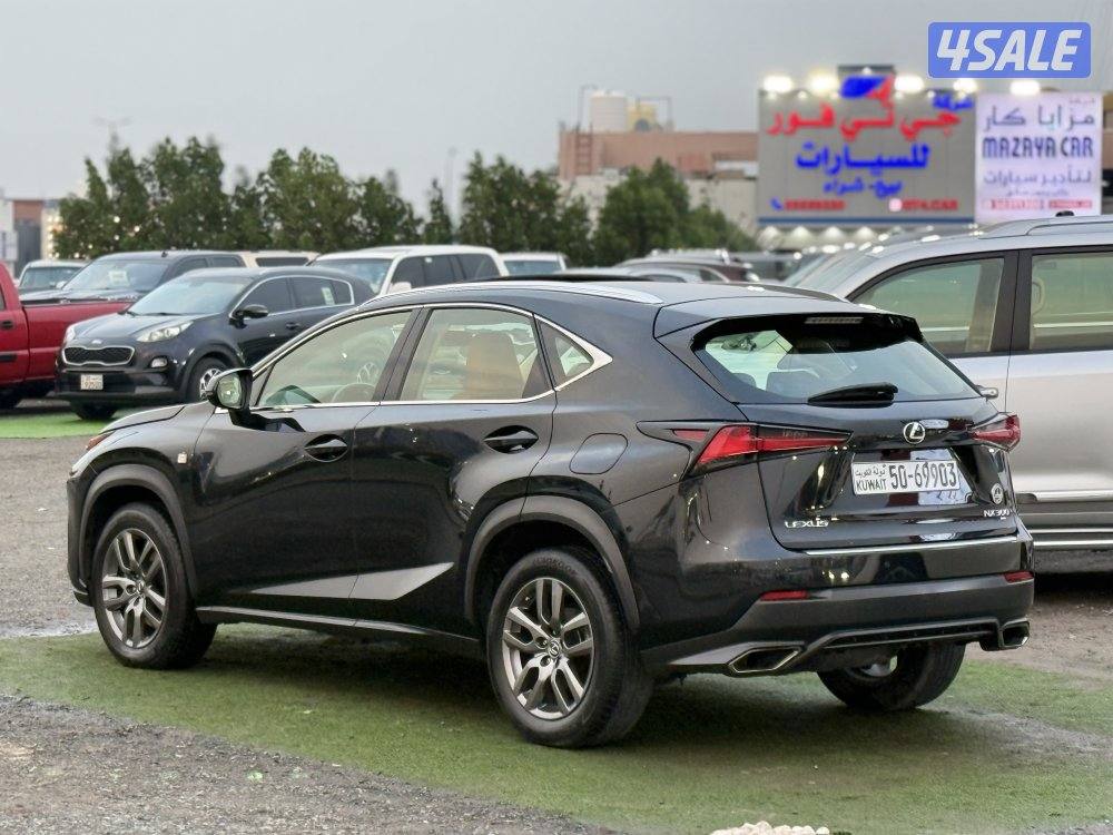 لكزس NX300 - موديل 2019 - عداد 238 - وارد الساير - صبغ الوكاله1