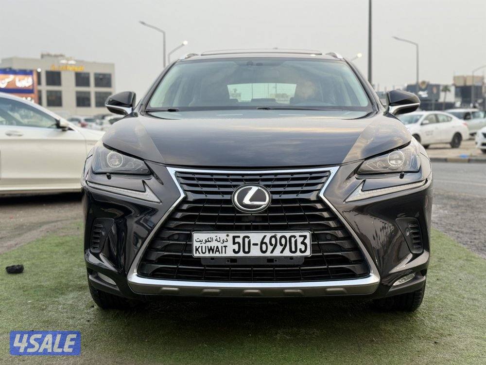 لكزس NX300 - موديل 2019 - عداد 238 - وارد الساير - صبغ الوكاله2