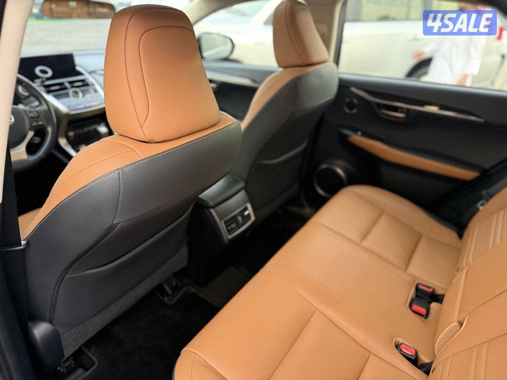 لكزس NX300 - موديل 2019 - عداد 238 - وارد الساير - صبغ الوكاله5