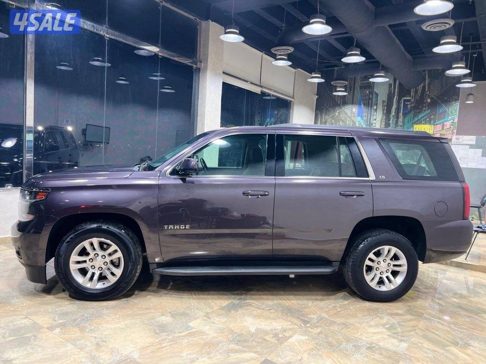 🚩 مـــعـــرض الـــــلــــورد 🚩1