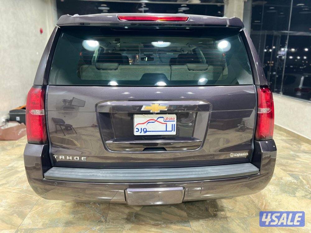 🚩 مـــعـــرض الـــــلــــورد 🚩2