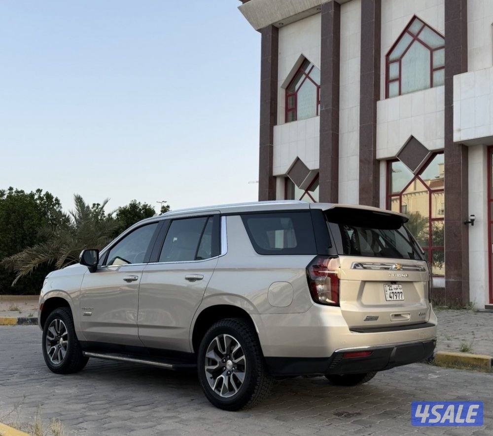 سقنجر2022 صبغ وكاله5