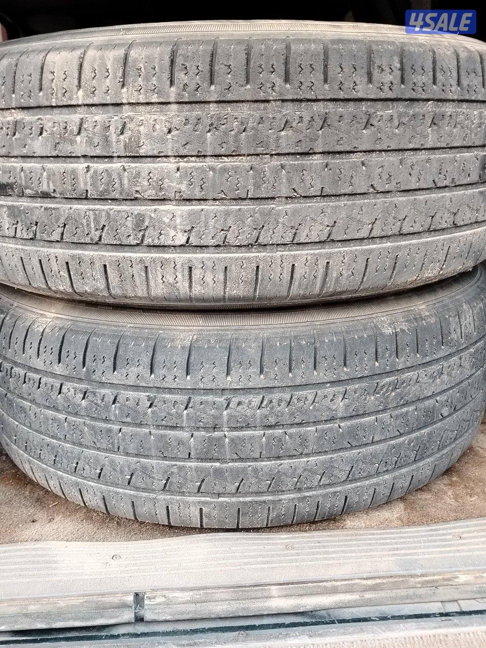 كيبات لنزو برونز2