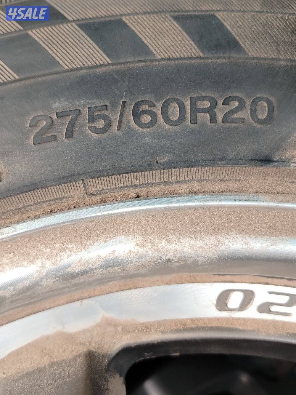 كيبات لنزو برونز3