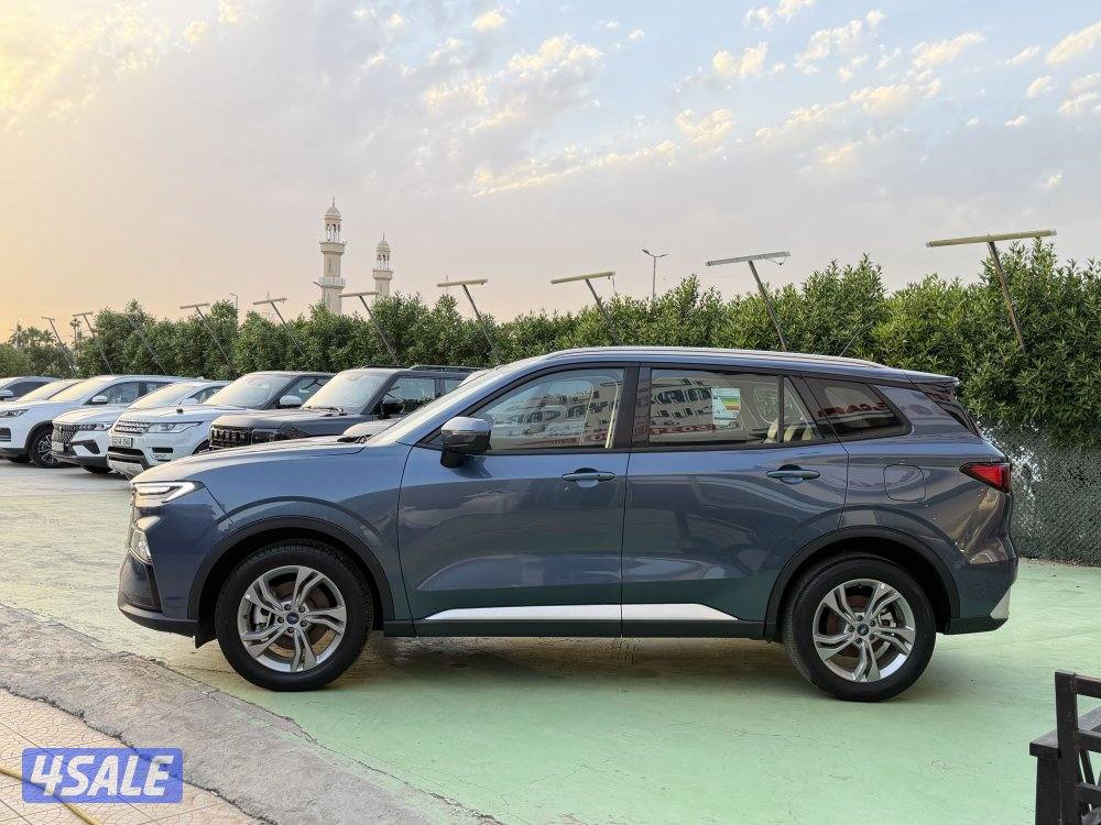 للبيع كاش بالأقساط فورد تيرتوري 20245