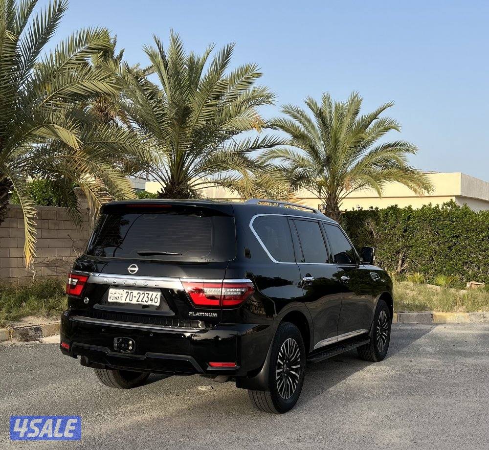 بلاتينيوم V65