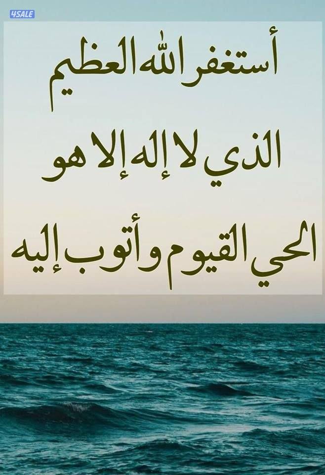 كبد الوفرة0