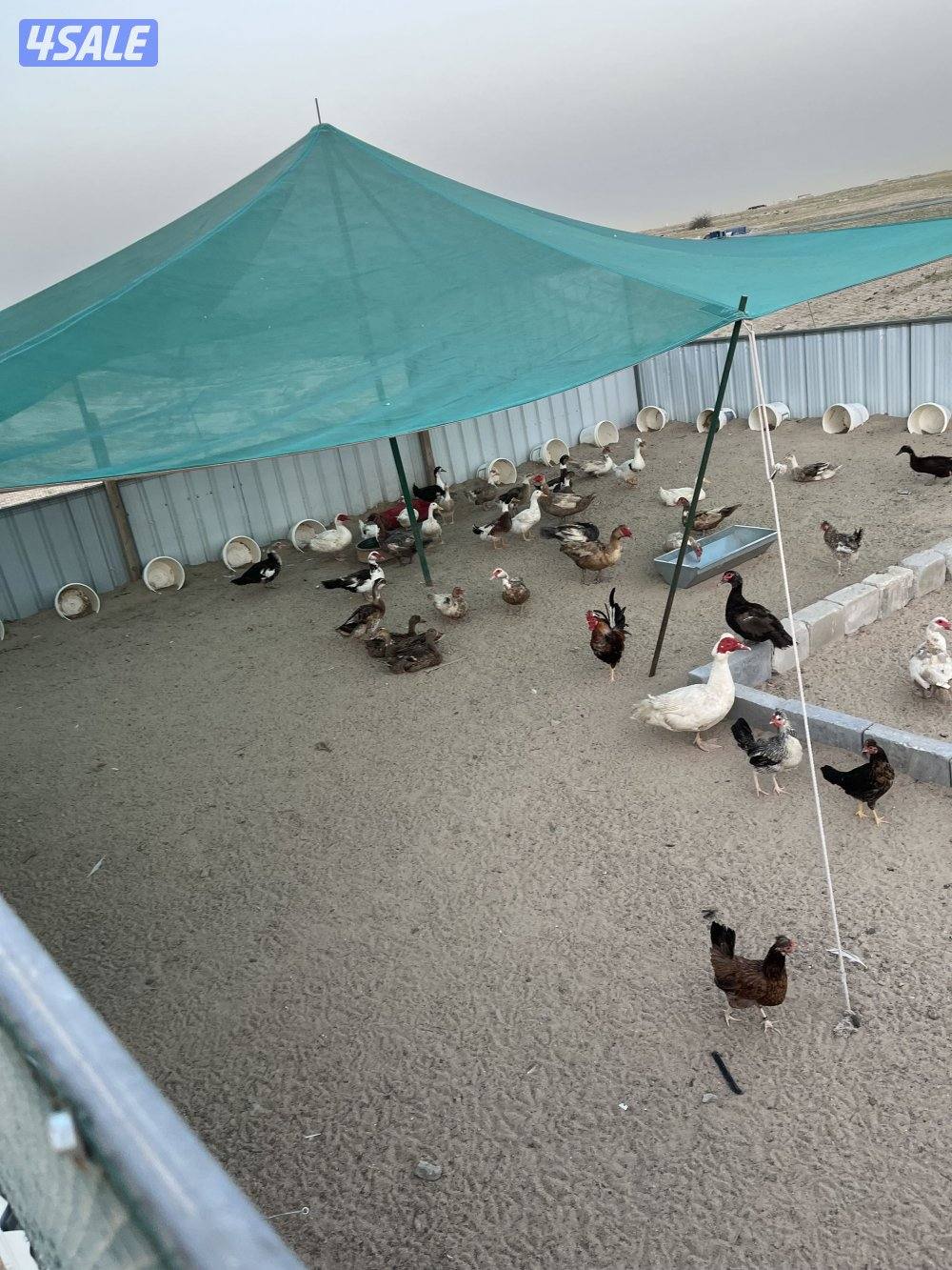 30 -40بطه تقريبا0