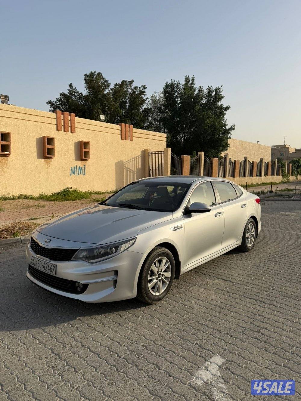 ابتيما صبغ وكالة بحالة نادره0