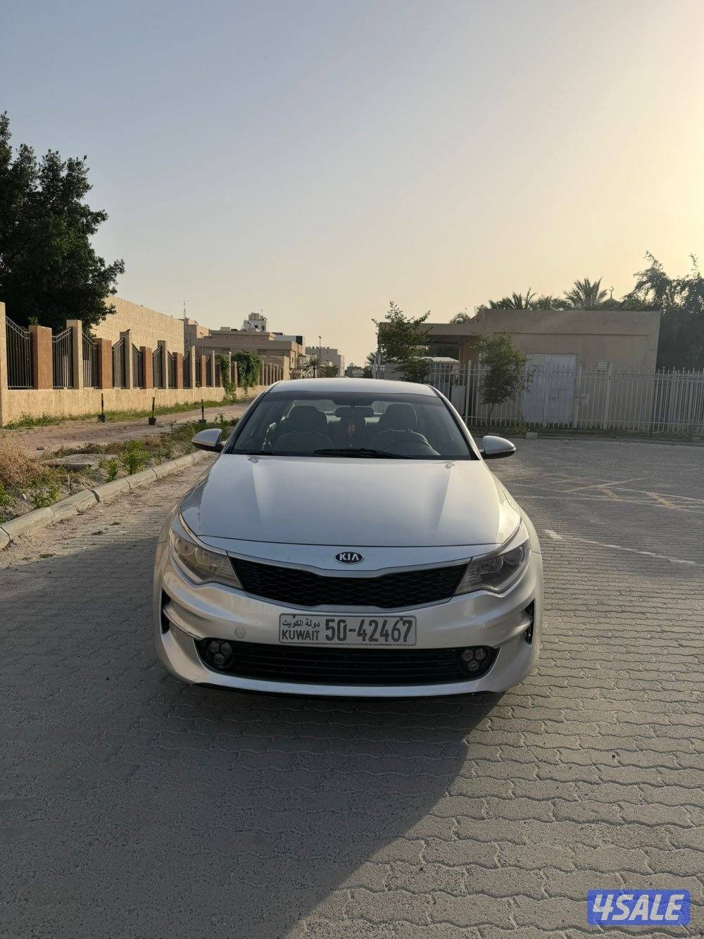 ابتيما صبغ وكالة بحالة نادره1