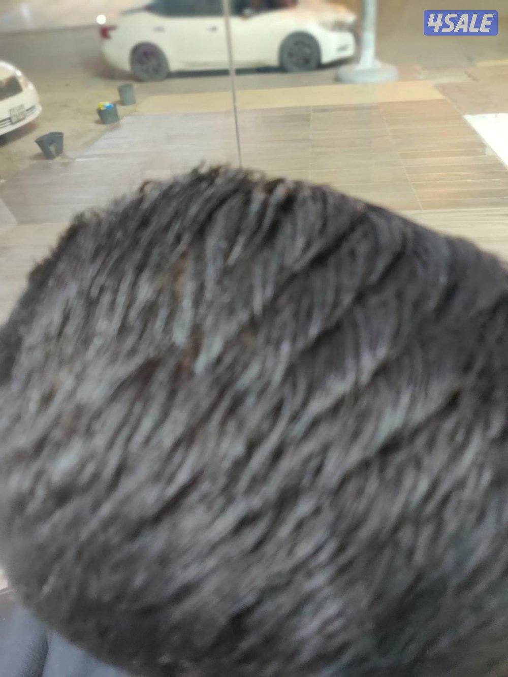 ✨ خبرة 25 سنة في إدارة السبا والخدمات الطبية والتجميلية الآن في الكوي2