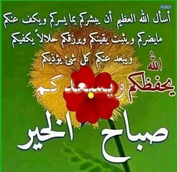 مدرسة فيزياء وكيمياء0