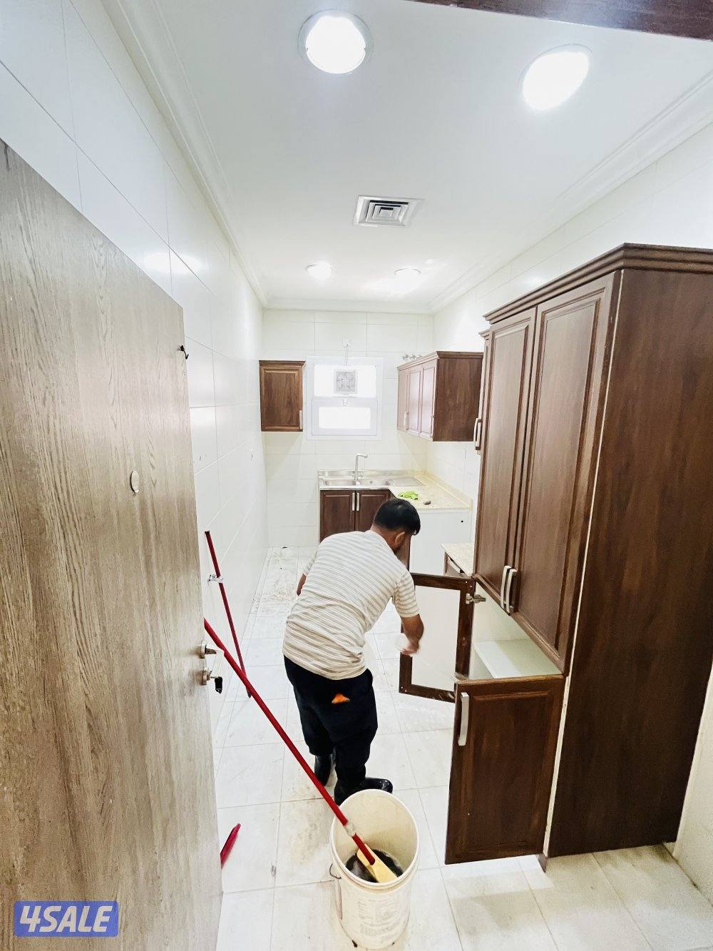 الفنيطيس قطعة ٨3