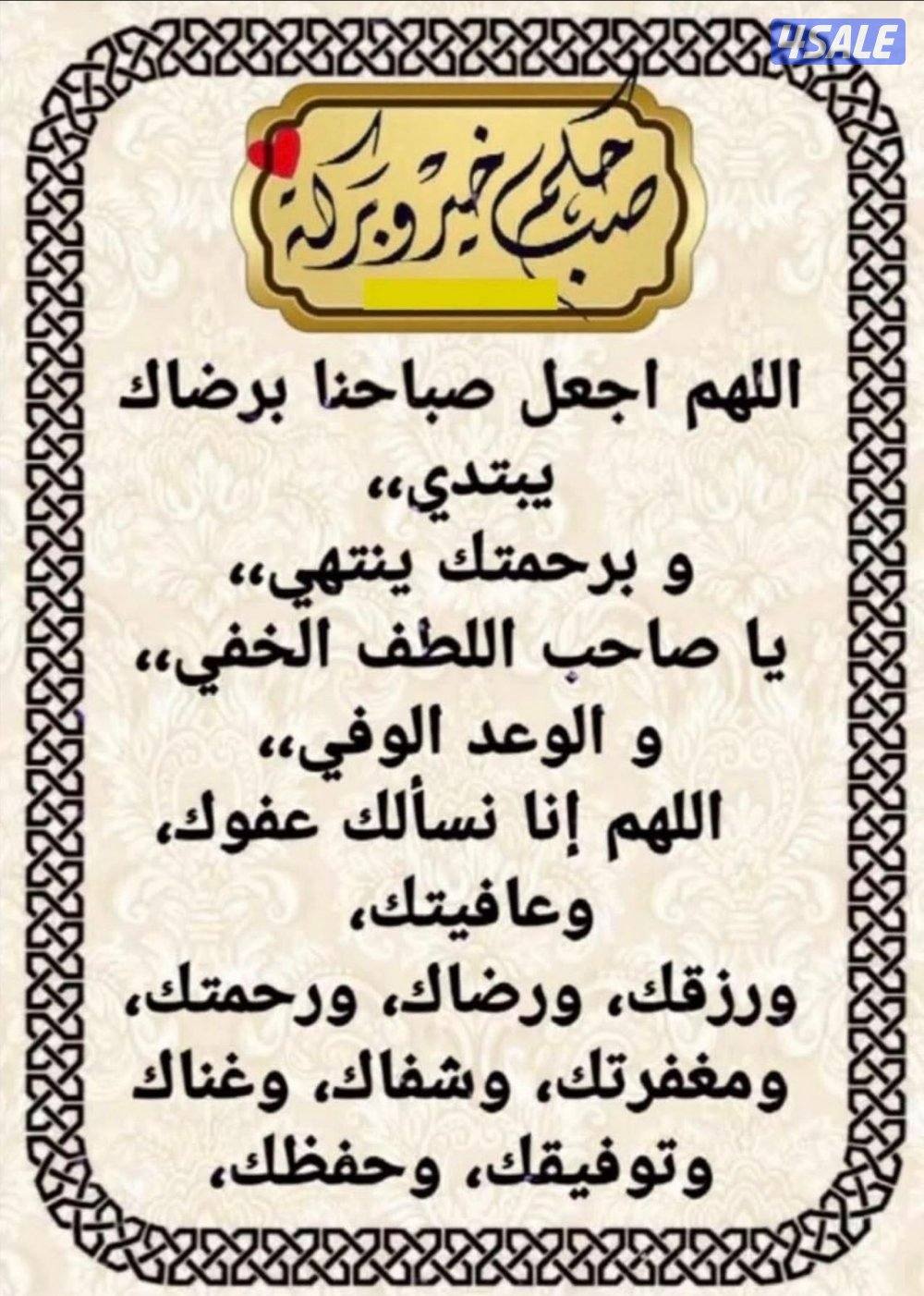 للايجار شقة بالفردوس0