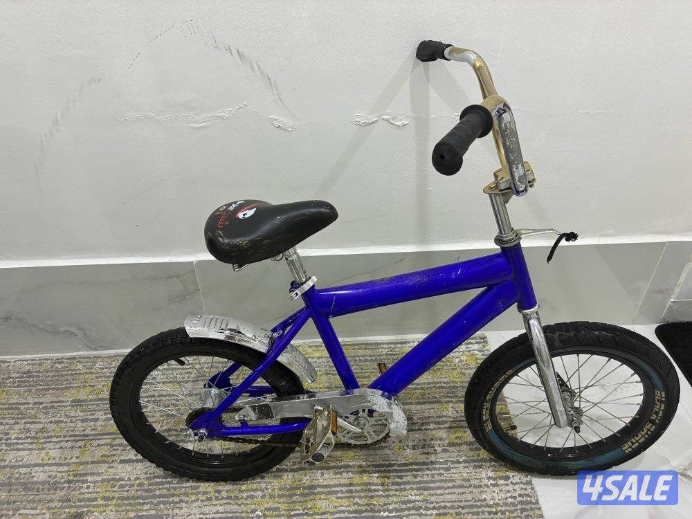 جنوب الاحمدي0