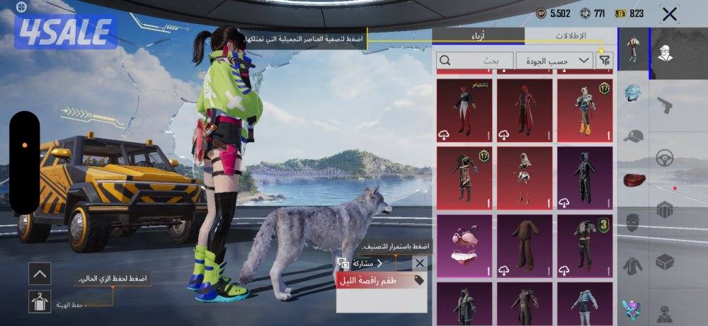 حساب ببجي للبيع6