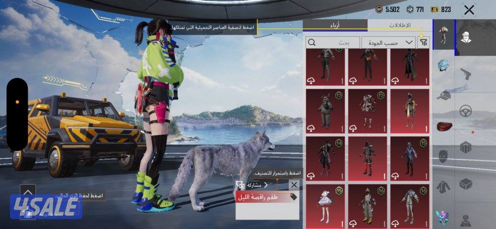 حساب ببجي للبيع9