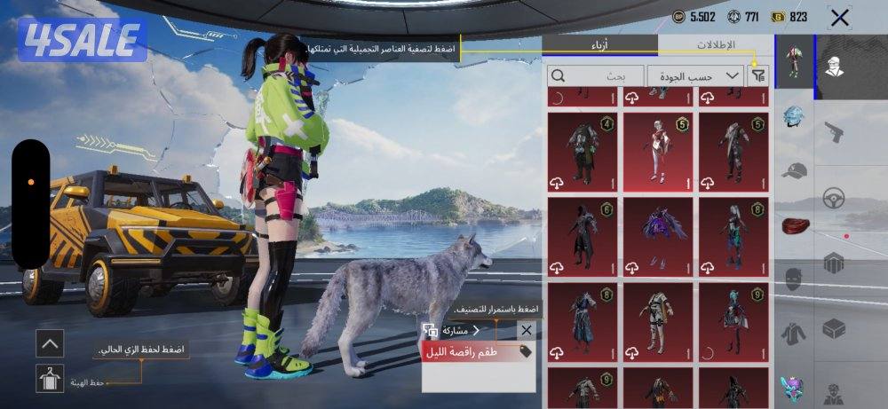 حساب ببجي للبيع10