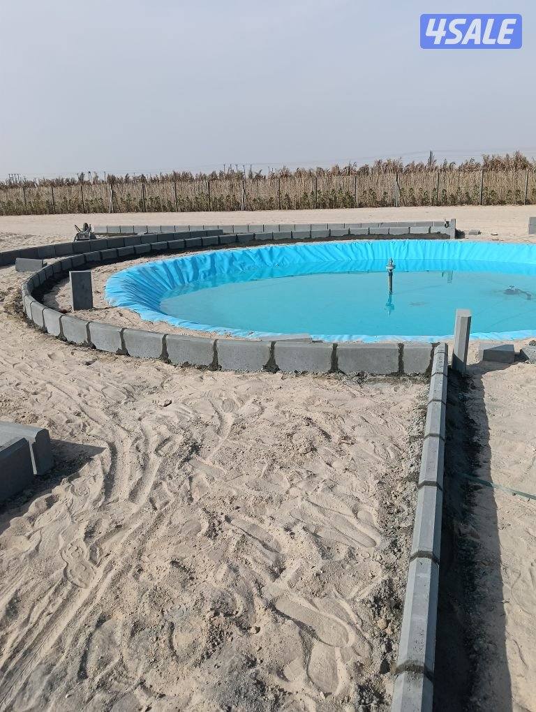 معلم بلاط متداخل وكربستون وكاشي ومصفت سيارات وصبت موزاييك ارضيات14